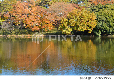 大宮散歩：大宮公園ボート池 27654955