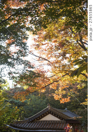 The scenery of Autumn 182 27655865