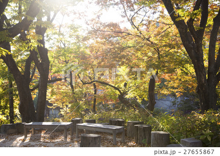 The scenery of Autumn 164 27655867
