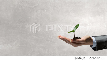 New life in your hands New life in your hands 27658498