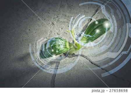 Is there life on moon 27658698