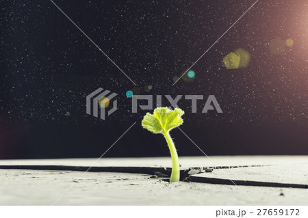 Is there life on moon Is there life on moon 27659172