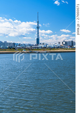 【東京都】スカイツリーと住宅街 【東京都】スカイツリーと住宅街 27660071