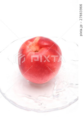 プラム プラム 27663966