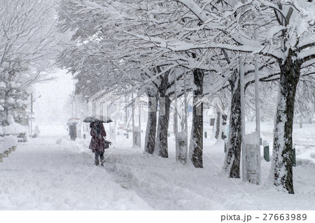 雪の歩道 雪の歩道 27663989