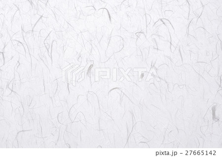 和紙 雲竜紙 淡色 白色 a 27665142