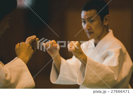 martial artist 27666471