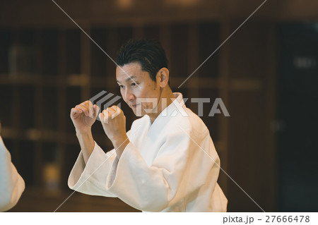 martial artist 27666478