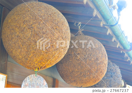 造り酒屋の軒先「杉玉」(倉敷美観地区/岡山県倉敷市) 造り酒屋の軒先「杉玉」(倉敷美観地区/岡山県倉敷市) 27667237