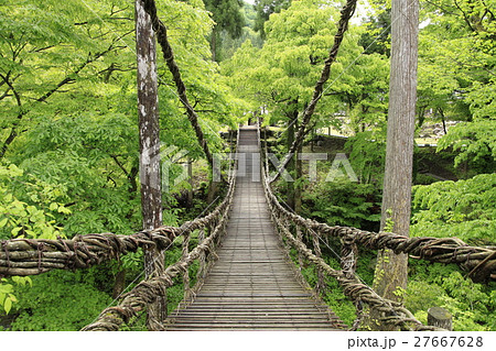 足羽川渓谷　かずら橋 27667628