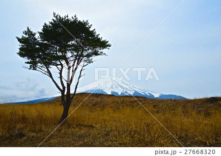 富士山(北富士演習場/山梨県富士吉田市・山中湖村・忍野村) 富士山(北富士演習場/山梨県富士吉田市・山中湖村・忍野村) 27668320