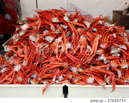 日本海高岡なべ祭り14 27669754