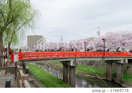 鳥取市　袋川土手の桜並木 27669778