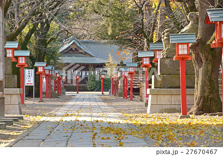 鷲宮神社:参道 鷲宮神社:参道 27670467
