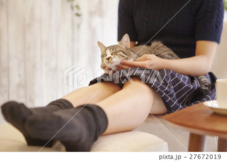 猫カフェ 27672019