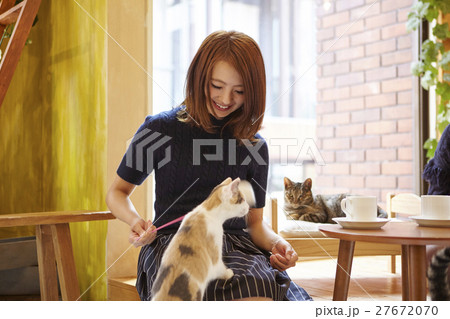 猫カフェ 27672070