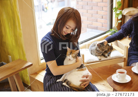 猫カフェ 27672173