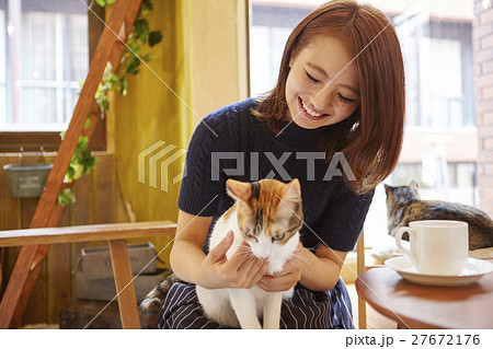 猫カフェの写真素材