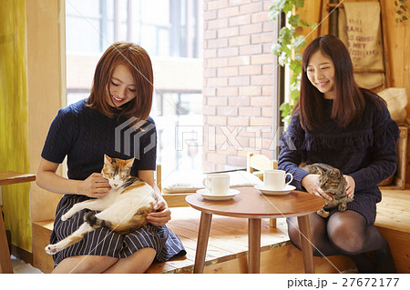猫カフェ 猫カフェ 27672177