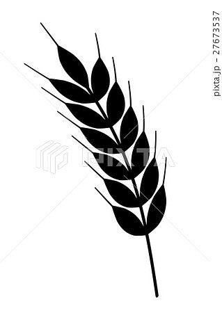 小麦の穂のシルエットのイラスト素材