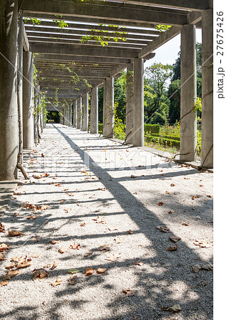 Promenade in park Promenade in park 27675426