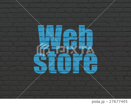 Web development concept: Web Store on wall 27677405