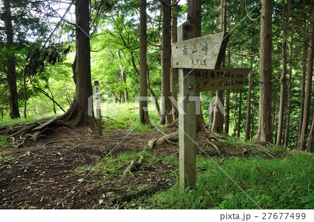 秦野峠 27677499