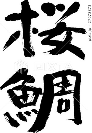 桜鯛 桜鯛 27678873