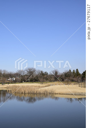 冬の公園 27679117