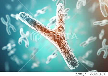 XY-chromosome, red in the center, concept of XY-chromosome, red in the center, concept of 27680194