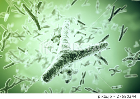 Chromosomes on scientific background. Life and Chromosomes on scientific background. Life and 27680244
