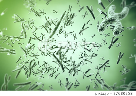 Chromosomes on scientific background. Life and 27680258
