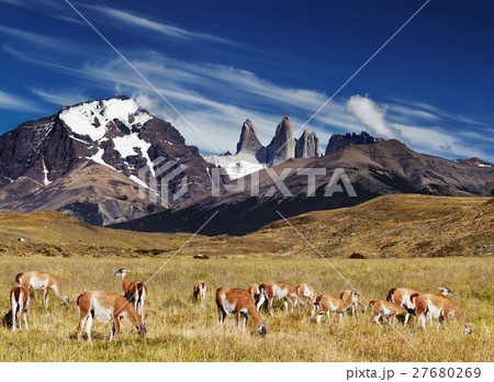 Torres del Paine, Patagonia, Chile 27680269