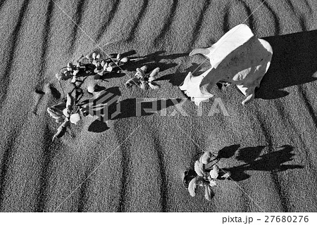 Sand Patterns and More 27680276