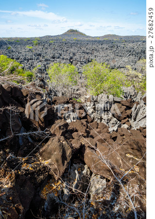 Tsingy rock formations in Ankarana, Madagascar 27682459