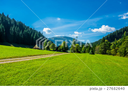 Abandoned Farm in Tree-Covered Valley in Austria Abandoned Farm in Tree-Covered Valley in Austria 27682640