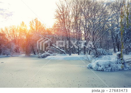 Scenic view of the frozen pond with willow tree 27683473