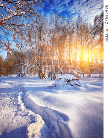 Beautiful winter sunset with trees in the snow Beautiful winter sunset with trees in the snow 27683486