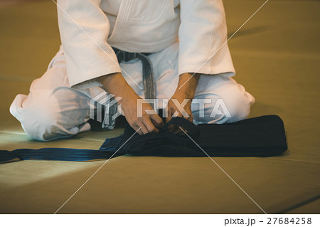 martial artist martial artist 27684258