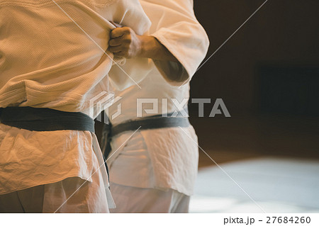 martial artist martial artist 27684260