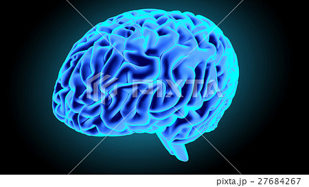 Human brain 3D render Human brain 3D render 27684267