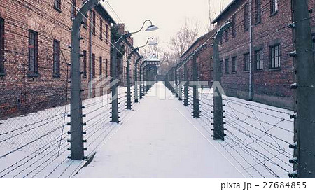Between barbed wire fences. Auschwitz Birkenau 27684855