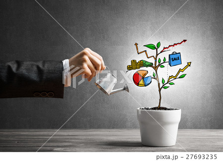 Drawn income tree in white pot for business investment savings and making money Drawn income tree in white pot for business investment savings and making money 27693235