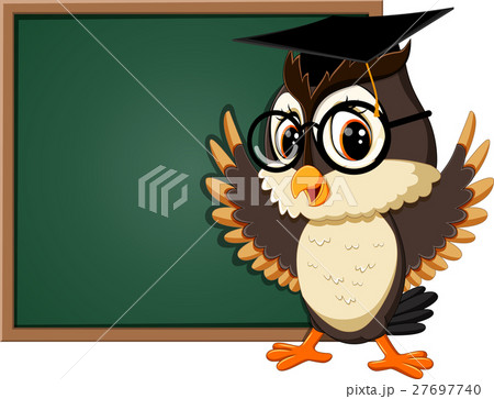 illustration of Owl teacher at blackboard 27697740
