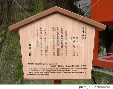 春日大社（本社大杉）立て看板 27698898