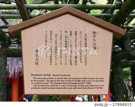 春日大社（砂ずりの藤）立て看板 27698915