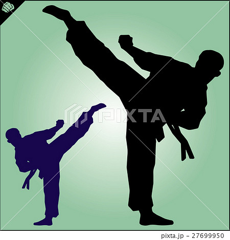 MARTIAL ARTS.Taekwondo karate fighting scene  27699950