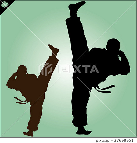 MARTIAL ARTS.Taekwondo karate fighting scene  27699951