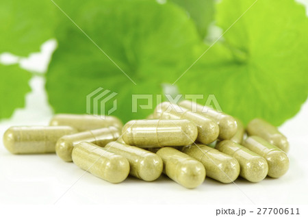 Dried powder of Indian pennywort herbal medicine. 27700611