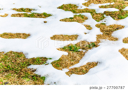 春近し　雪融けのころ 27700787